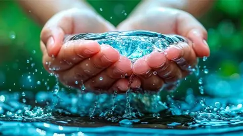 Día Mundial del Agua Día Mundial del Agua