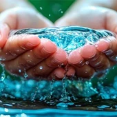 Día Mundial del Agua Día Mundial del Agua