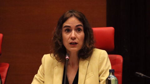 La consellera de Just&iacute;cia, Gemma Ubasart, en la compareixen&ccedil;a d'aquest mat&iacute; al Parlament