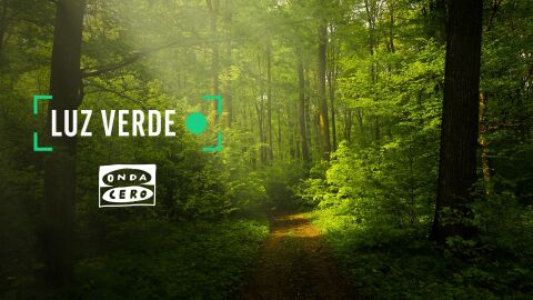 "Los comunicadores de Onda Cero se comprometen con Luz Verde" "Los comunicadores de Onda Cero se comprometen con Luz Verde"