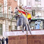 El TSJC declara nula la extracción de lobos autorizada por el Gobierno de Cantabria en 2022