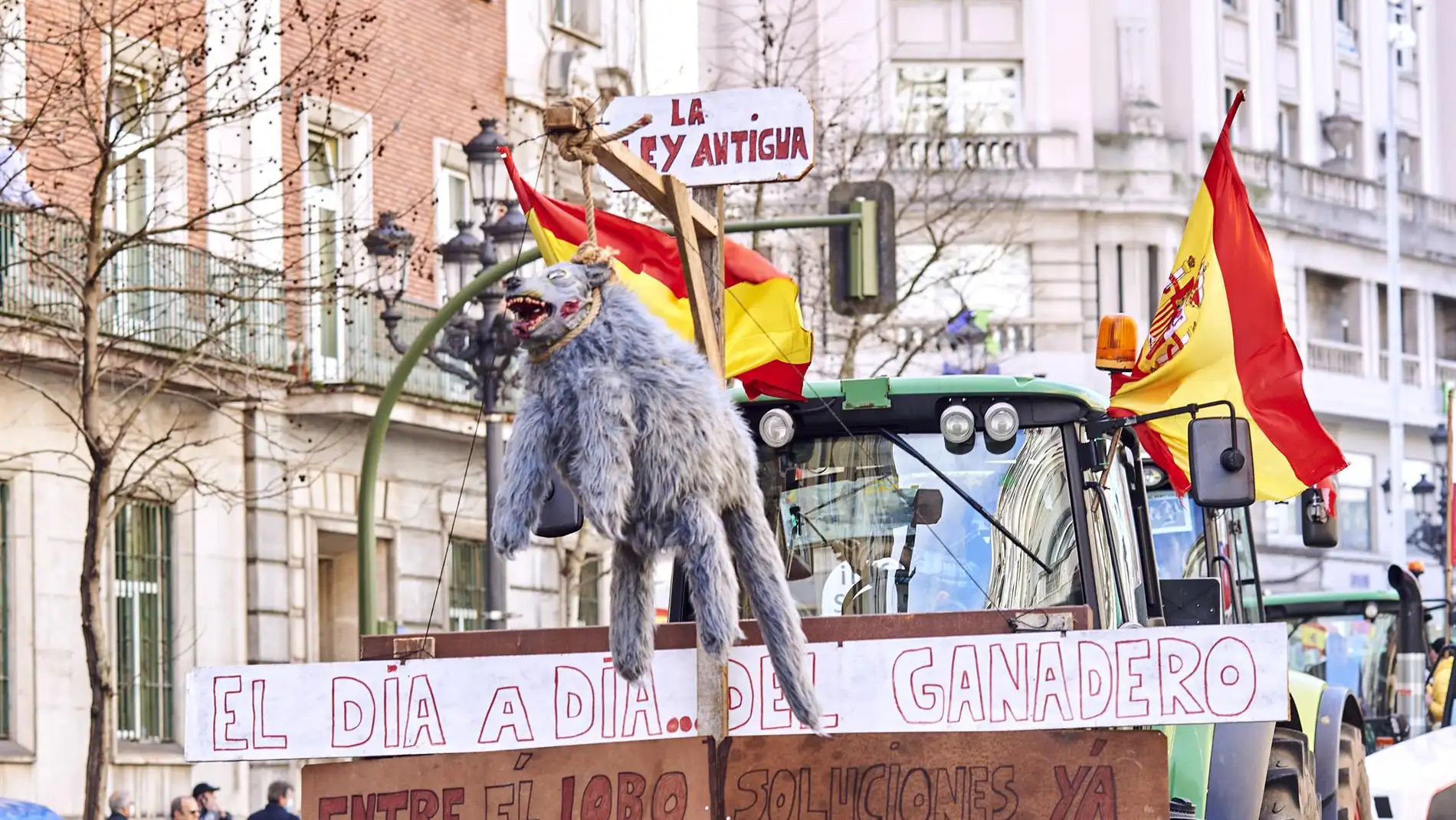 El TSJC declara nula la extracción de lobos autorizada por el Gobierno de Cantabria en 2022