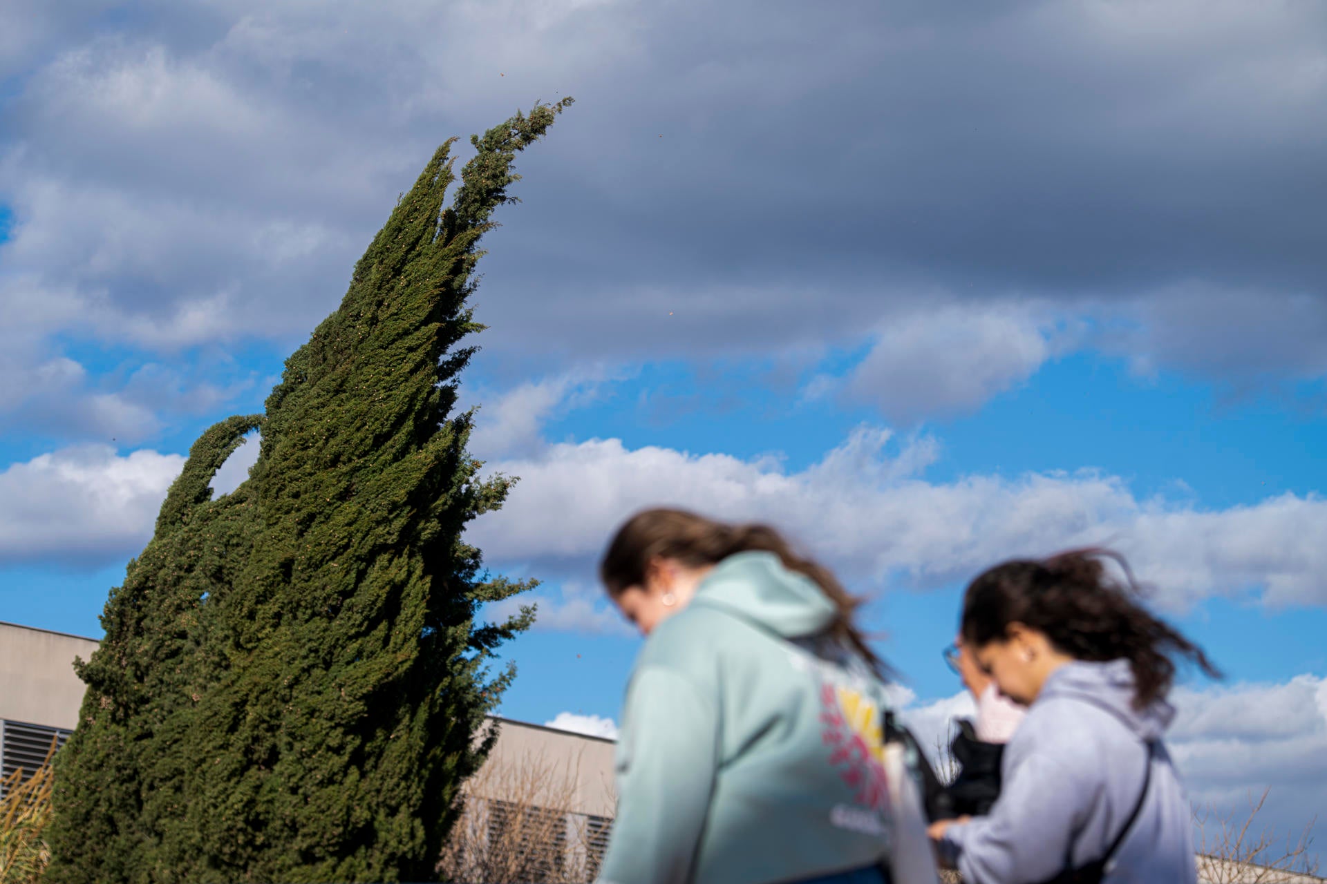 AEMET activa la alerta amarilla por rachas de viento de hasta 80 km/h en el interior de València AEMET activa la alerta amarilla por rachas de viento de hasta 80 km/h en el interior de València