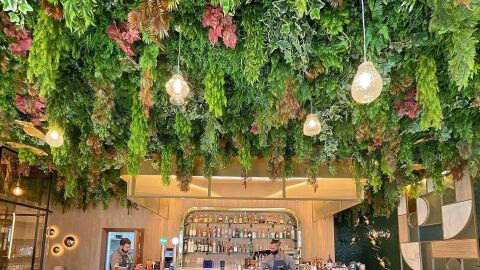 Jard&iacute;n colgante