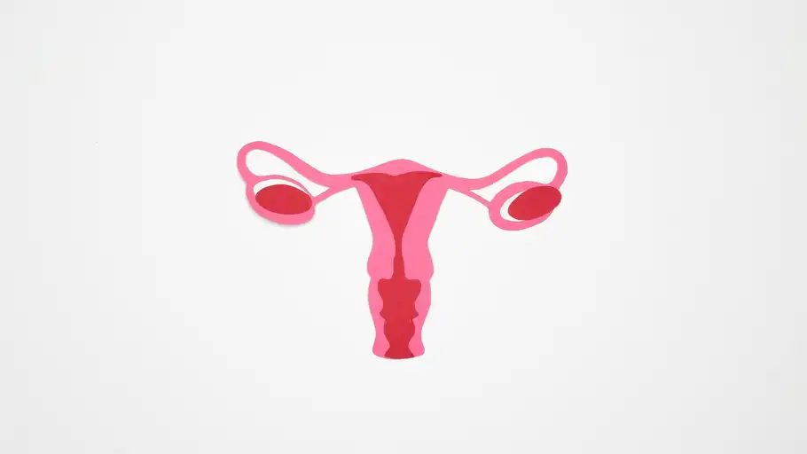 Menopausia Menopausia