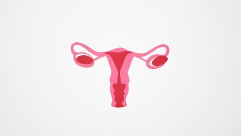 Menopausia 