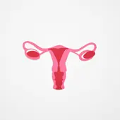 Menopausia Menopausia