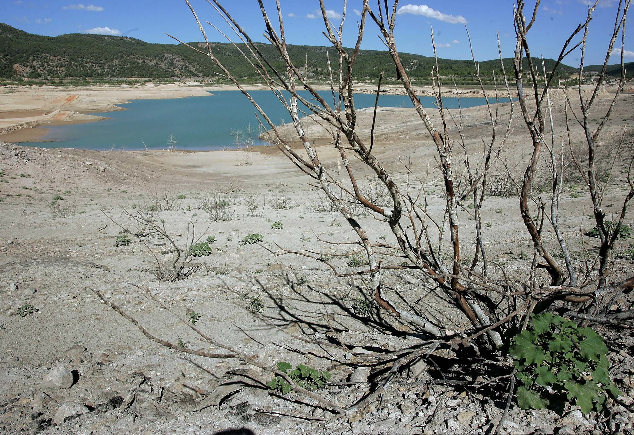 Noticias Málaga Mediodía 09/04/2024 Noticias Málaga Mediodía 09/04/2024
