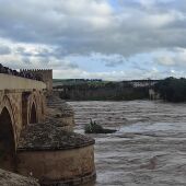 Rescatado un varón de 27 años de un pilar del Puente del Arenal en Córdoba tras la crecida del río
