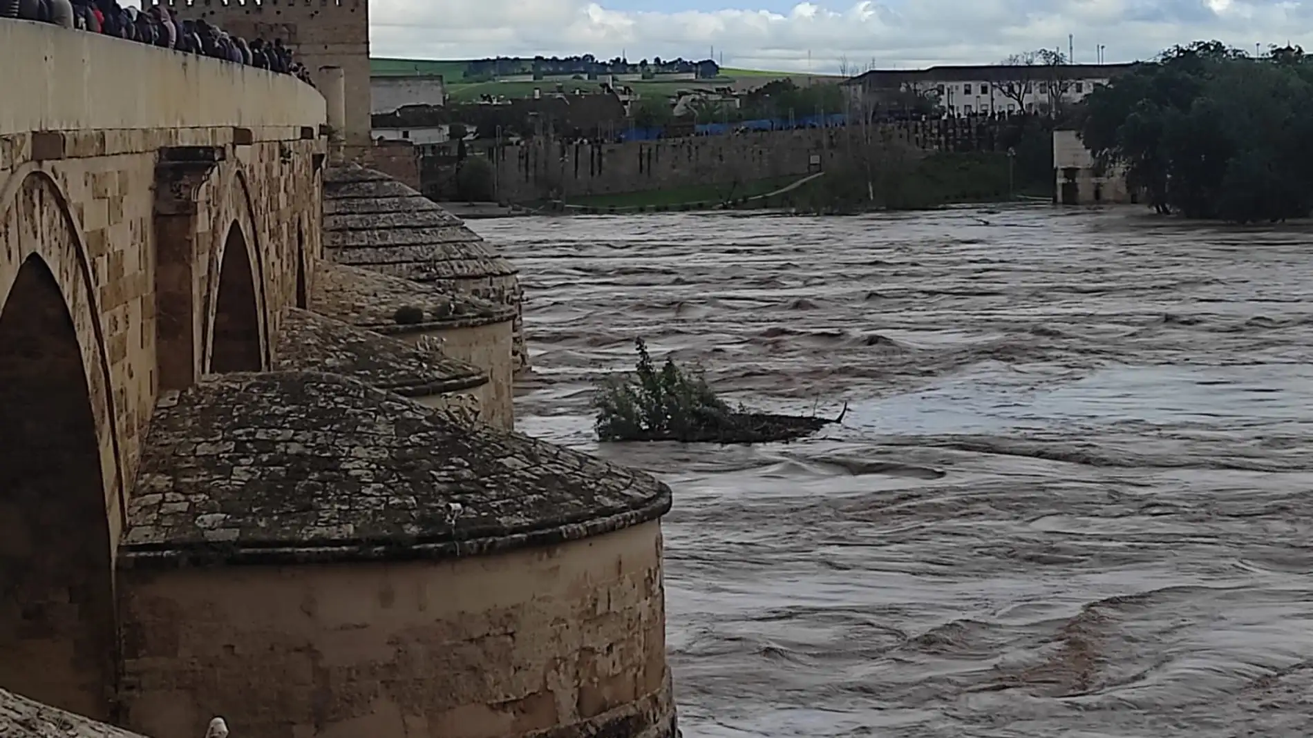Rescatado un varón de 27 años de un pilar del Puente del Arenal en Córdoba tras la crecida del río
