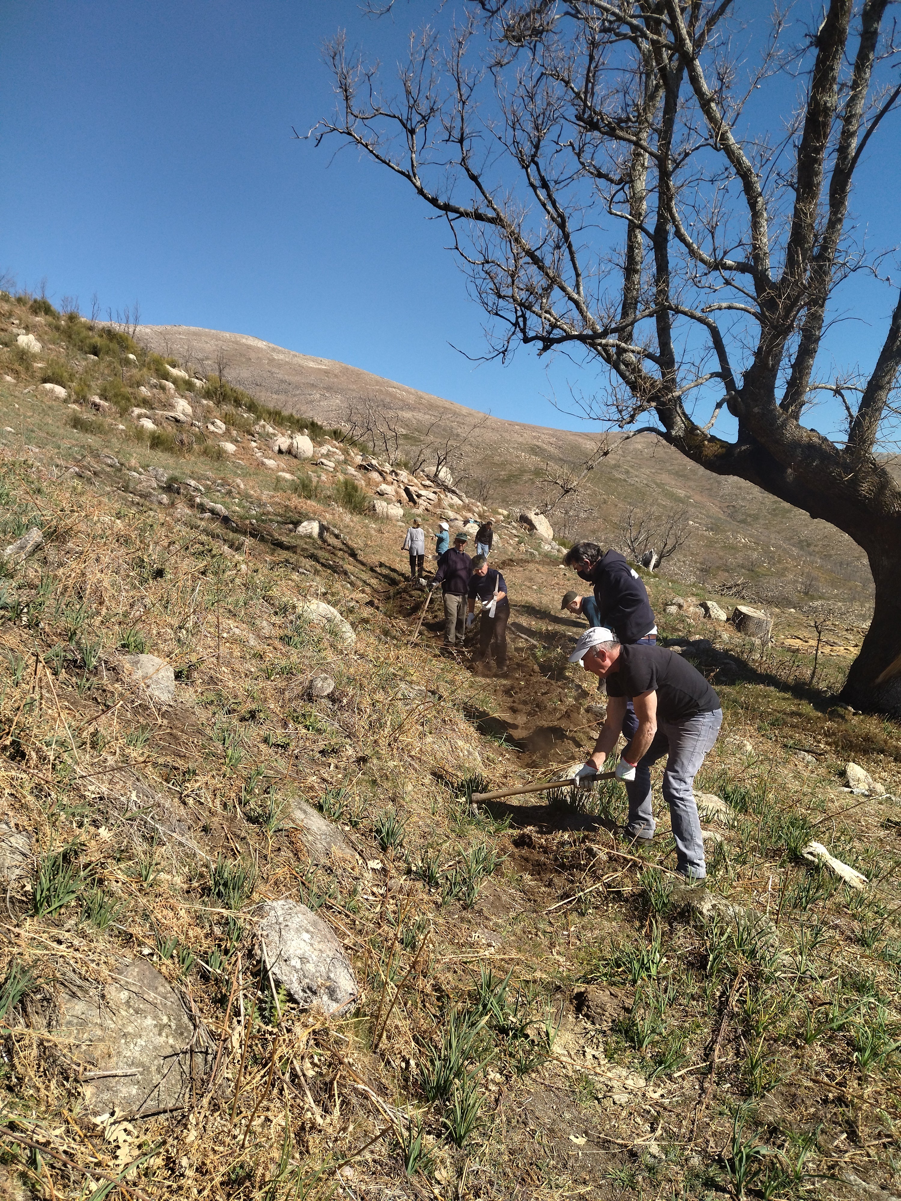 Una asociación extremeña reclama la adhesión de España a la declaración del riego tradicional como Patrimonio Inmaterial Una asociación extremeña reclama la adhesión de España a la declaración del riego tradicional como Patrimonio Inmaterial
