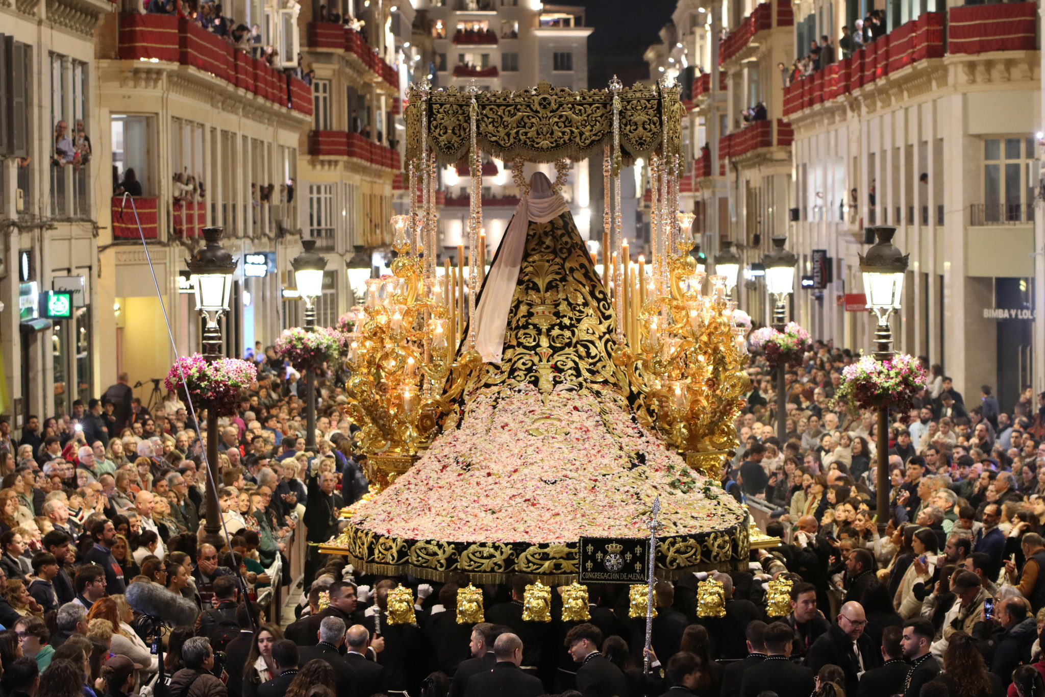 Revive la Semana Santa de Málaga 2024 Revive la Semana Santa de Málaga 2024
