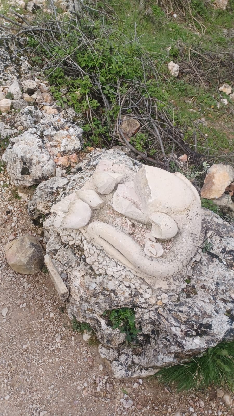 Detenido un hombre como presunto autor de los actos vandálicos ocasionados en Bogarra Detenido un hombre como presunto autor de los actos vandálicos ocasionados en Bogarra