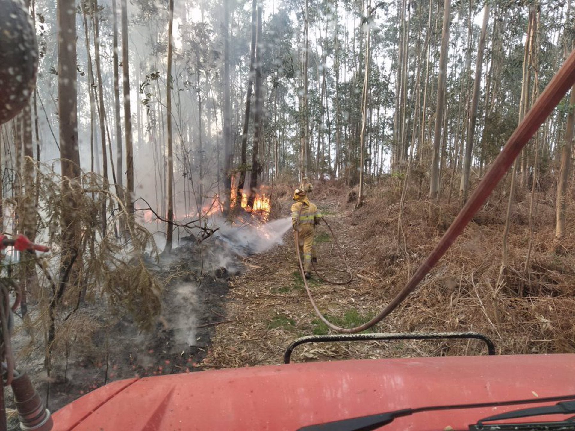 Cantabria registra cerca de 80 incendios forestales durante el pasado fin de semana Cantabria registra cerca de 80 incendios forestales durante el pasado fin de semana
