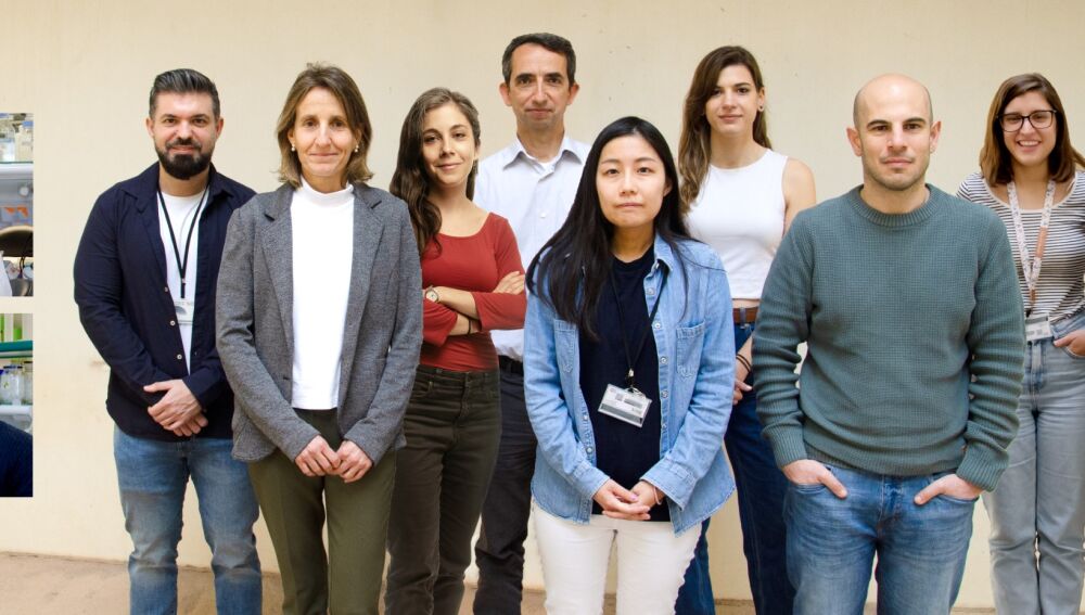 Los investigadores Virginia Fernández, Salma Amin, Juan Antonio Moreno Bravo, Cristina García Frigola, Lucía del Valle Antón, Víctor Borrell, Yuki Nomura, Ana Prieto Colomina, Adrián Cárdenas y Raquel Murcia Ramón.