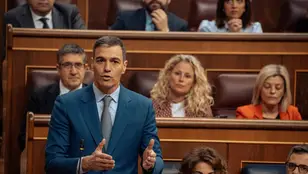 El presidente del Gobierno, Pedro Sánchez, interviene durante una sesión de control al Gobierno, en el Congreso.
