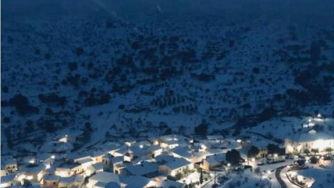 benizalon