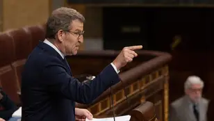 El líder del PP, Alberto Núñez Feijóo, interviene durante una sesión plenaria en el Congreso de los Diputados.