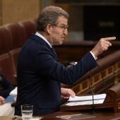 El líder del PP, Alberto Núñez Feijóo, interviene durante una sesión plenaria en el Congreso de los Diputados.