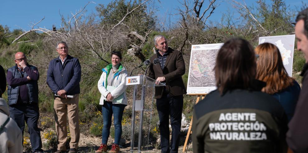 Aragón reforestará 2.000 hectáreas hasta el año 2027 Aragón reforestará 2.000 hectáreas hasta el año 2027
