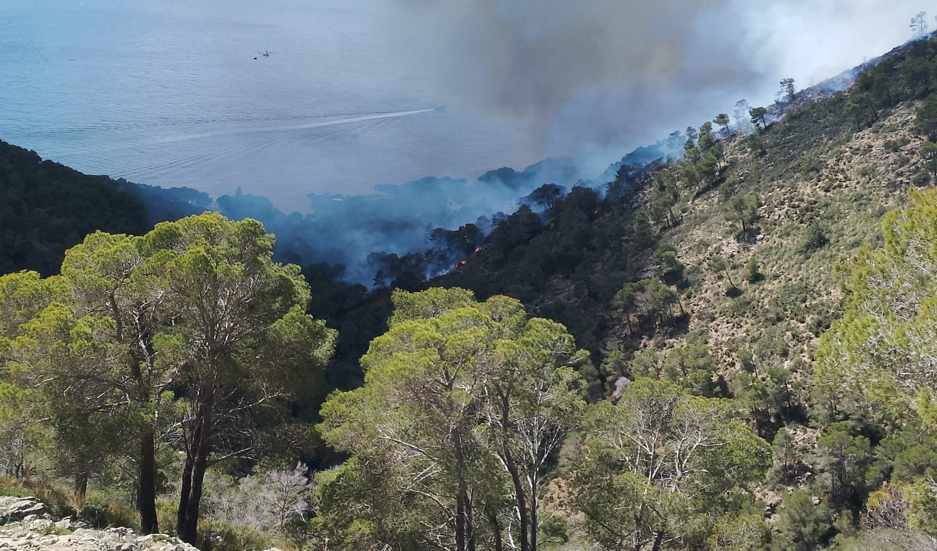Los vecinos desalojados por el incendio en Costa dels Pins ya pueden volver a sus casas Los vecinos desalojados por el incendio en Costa dels Pins ya pueden volver a sus casas