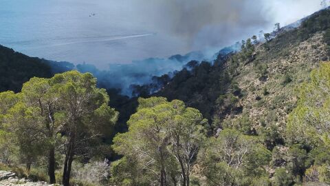 Un incendio forestal desatado en Costa dels Pins ha llevado al desalojo de 12 personas. 
