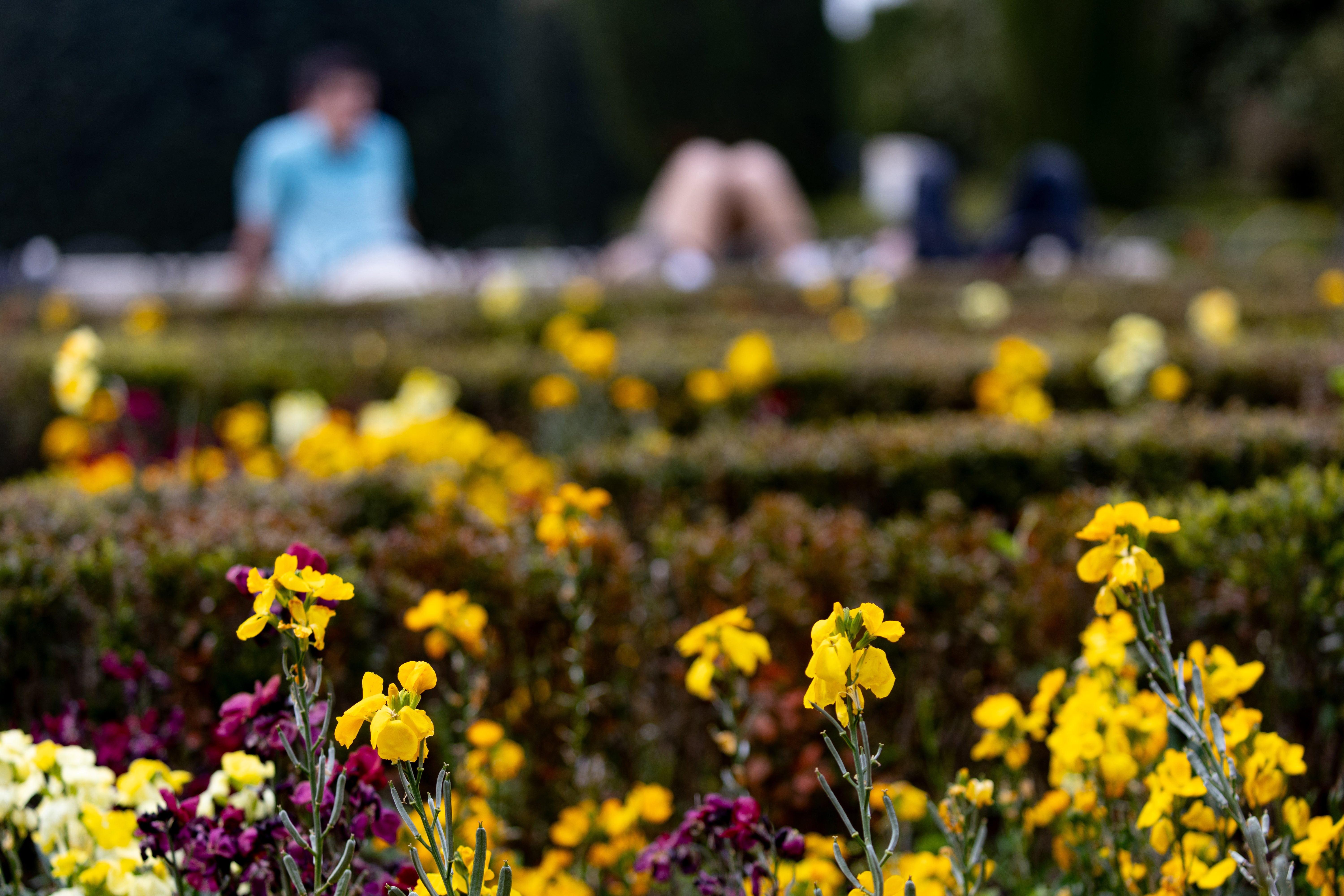 Suben las temperaturas en casi todo el país con zonas que podrán alcanzar los 36º Suben las temperaturas en casi todo el país con zonas que podrán alcanzar los 36º