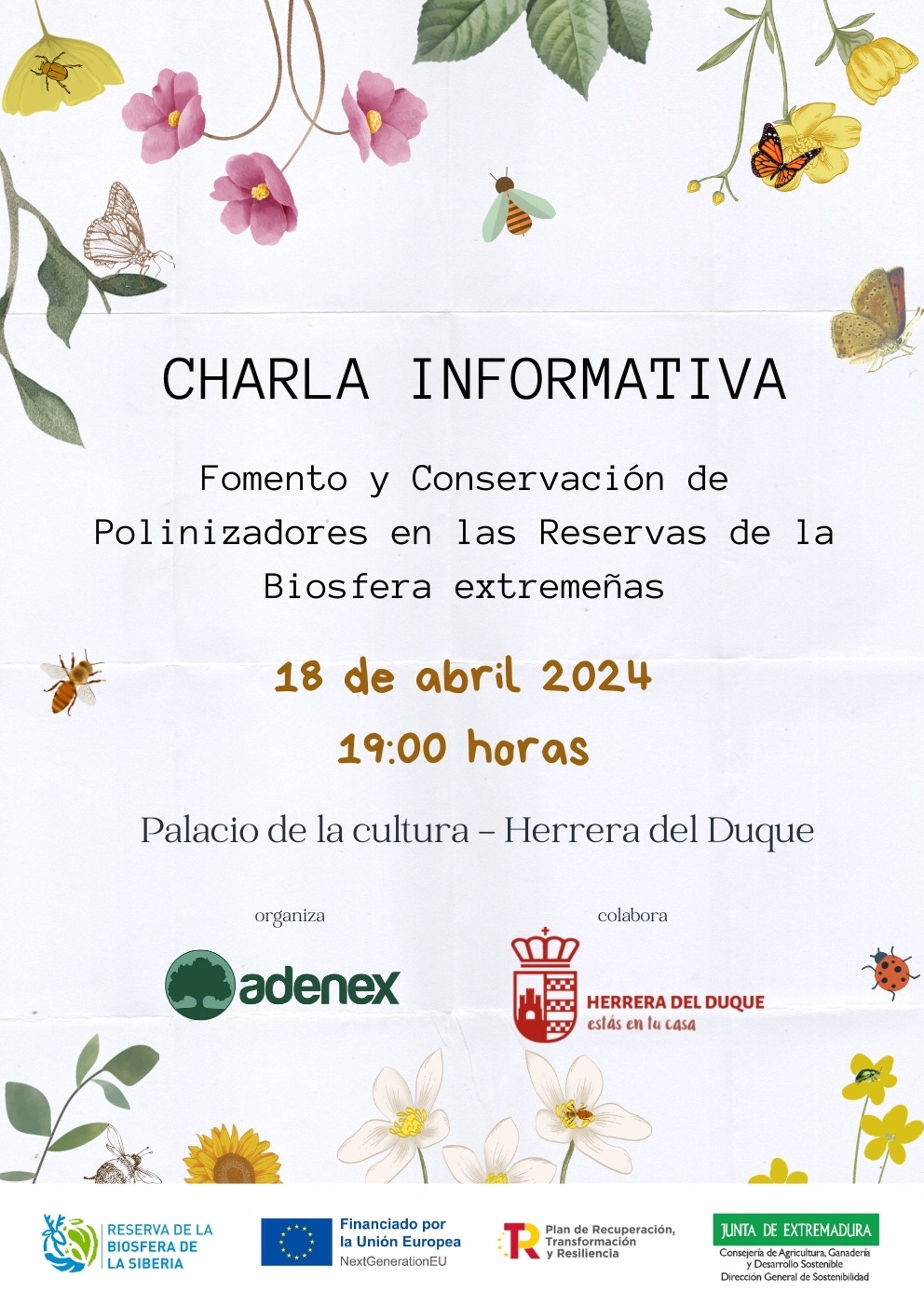 Adenex desarrollará unas jornadas informativas sobre polinizadores silvestres en las Reservas de la Biosfera extremeñas Adenex desarrollará unas jornadas informativas sobre polinizadores silvestres en las Reservas de la Biosfera extremeñas