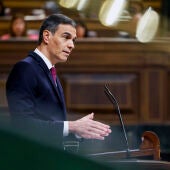 El presidente del Gobierno, Pedro Sánchez, interviene durante la sesión de control al Ejecutivo este miércoles en el Congreso. 