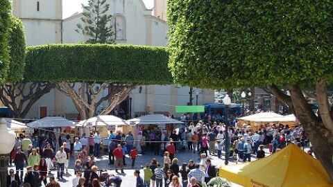 'Almorad&iacute; Plaza' convierte a la localidad en la capital del comercio de la Vega Baja este fin de semana