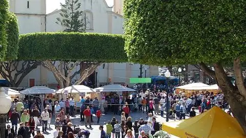 'Almoradí Plaza' convierte a la localidad en la capital del comercio de la Vega Baja este fin de semana 'Almoradí Plaza' convierte a la localidad en la capital del comercio de la Vega Baja este fin de semana