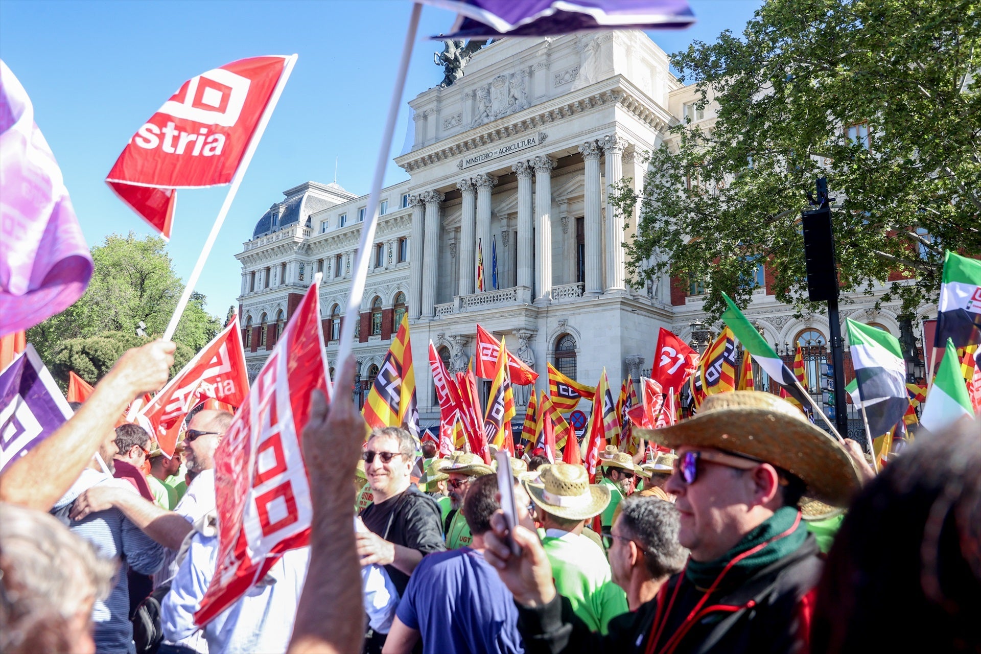 CC.OO y UGT reclaman poder negociar con el Ministerio los problemas del campo CC.OO y UGT reclaman poder negociar con el Ministerio los problemas del campo