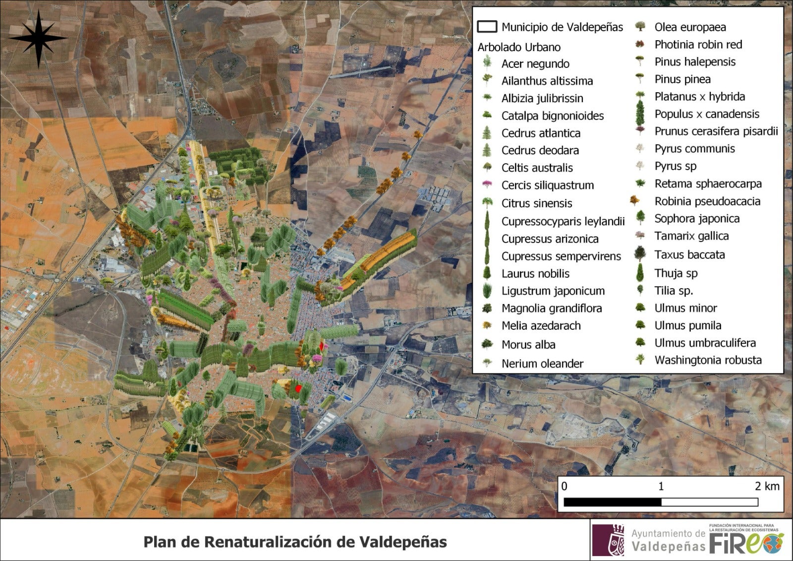 Ya está listo el informe final del Plan de Renaturalización Urbana de Valdepeñas Ya está listo el informe final del Plan de Renaturalización Urbana de Valdepeñas