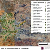 Mapa arbolado urbano Valdepeñas 2024 Mapa arbolado urbano Valdepeñas 2024