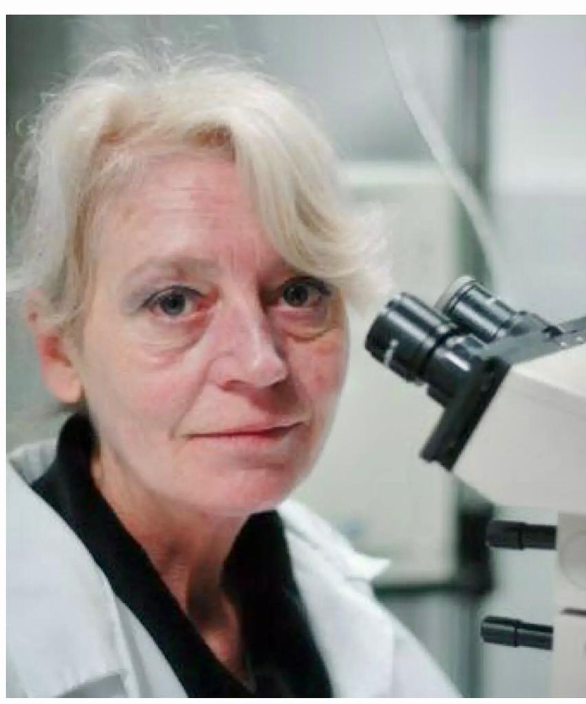 Estella Matutes Juan: “La investigación en hematología avaza día a día pero siguen siendo necesarias más becas y más financiación”. Estella Matutes Juan: “La investigación en hematología avaza día a día pero siguen siendo necesarias más becas y más financiación”.