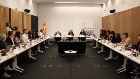 El grup d'expertes en feminicidis ha acordat avui crear un gabinet centrat en viol&egrave;ncia vic&agrave;ria