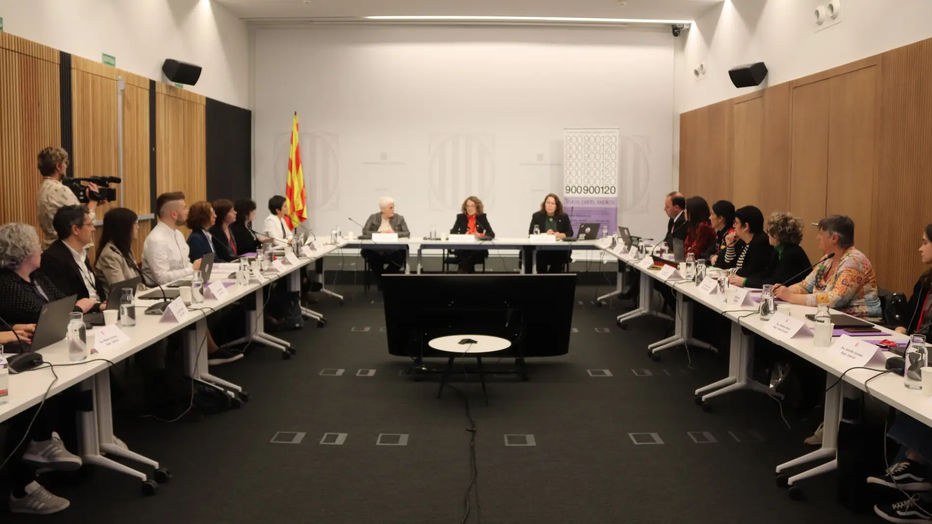 El grup d'expertes en feminicidis ha acordat avui crear un gabinet centrat en violència vicària
