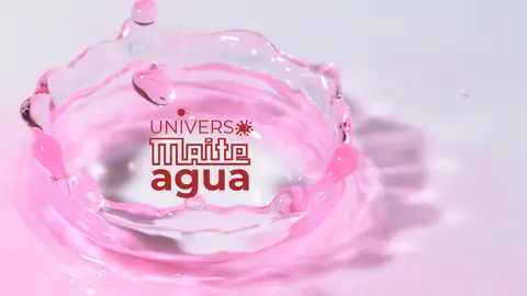Universo Maite Universo Maite