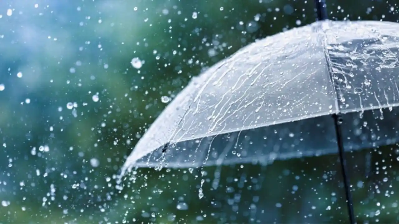 Lluvia Lluvia