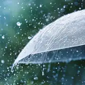 Lluvia Lluvia