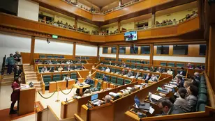 Una sesión del Pleno del Parlamento Vasco