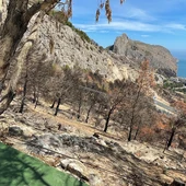 El ayuntamiento limpia Altea Hills para prevenir incendios El ayuntamiento limpia Altea Hills para prevenir incendios