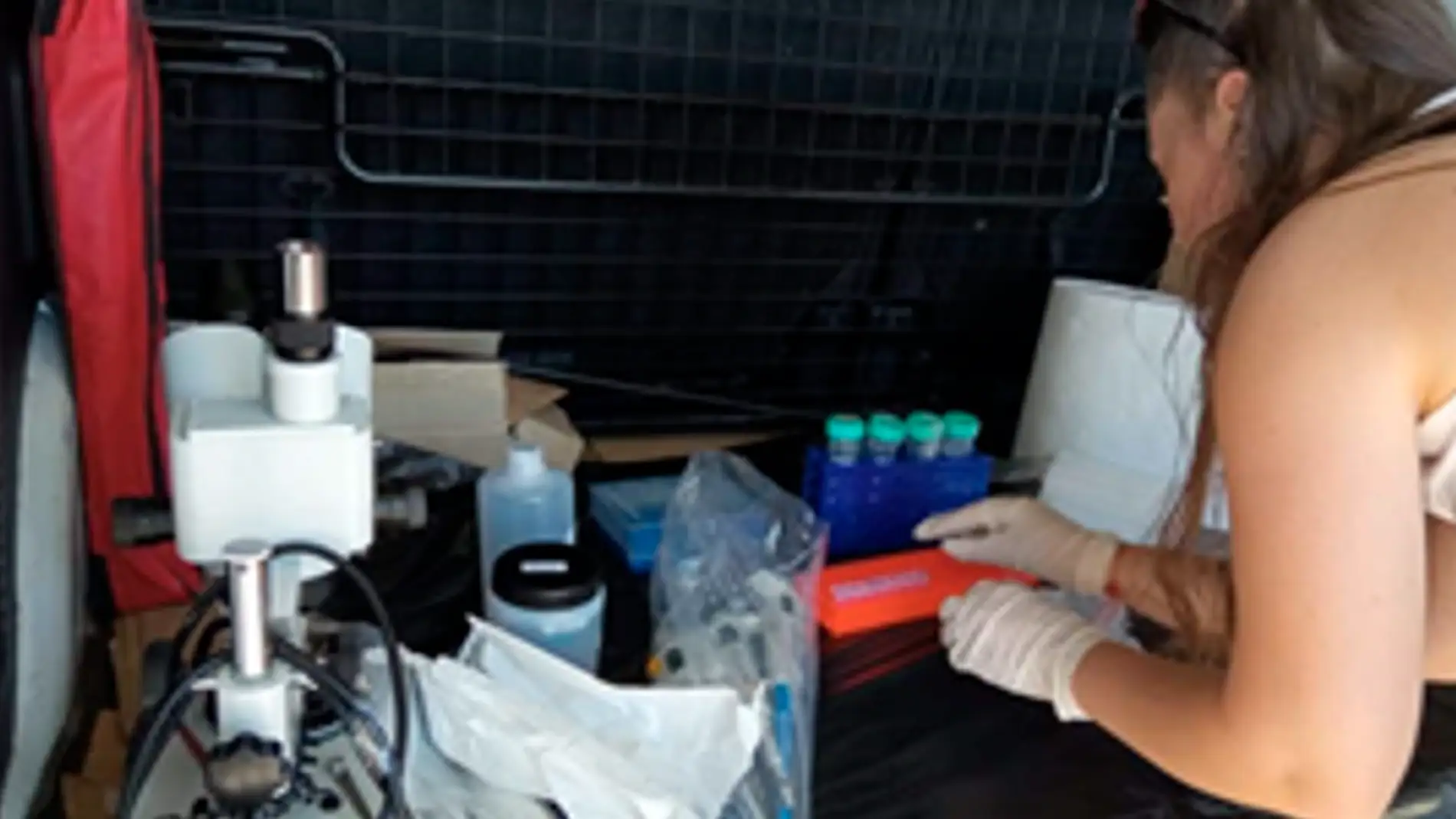 Una especialista con su equipo para detectar el 'virus del Nilo occidental'