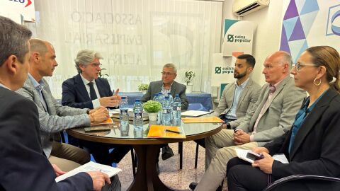 Reuni&oacute;n Secretario Industria CV y AEA Alzira
