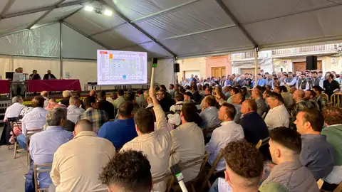 Subasta Toros Algemesi 2024 Subasta Toros Algemesi 2024