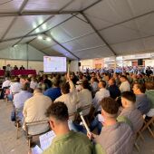 Subasta Toros Algemesi 2024
