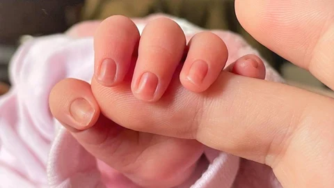 Imagen de archivo de la mano de un recién nacido