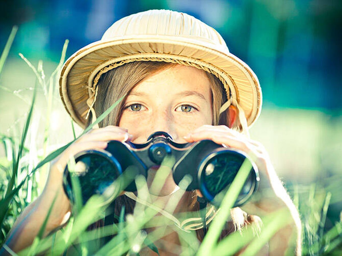 Los escolares de la provincia de Alicante cambian las aulas por clases al aire libre Los escolares de la provincia de Alicante cambian las aulas por clases al aire libre