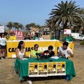 Colectivos convocantes de 8 manifestaciones en Canarias contra el desarrollo turístico son control el 20 de abril
