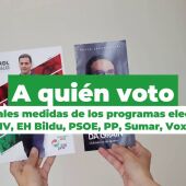 A quién voto en las elecciones el País Vasco: las principales medidas todos los programas electorales de EH Bildu a Vox